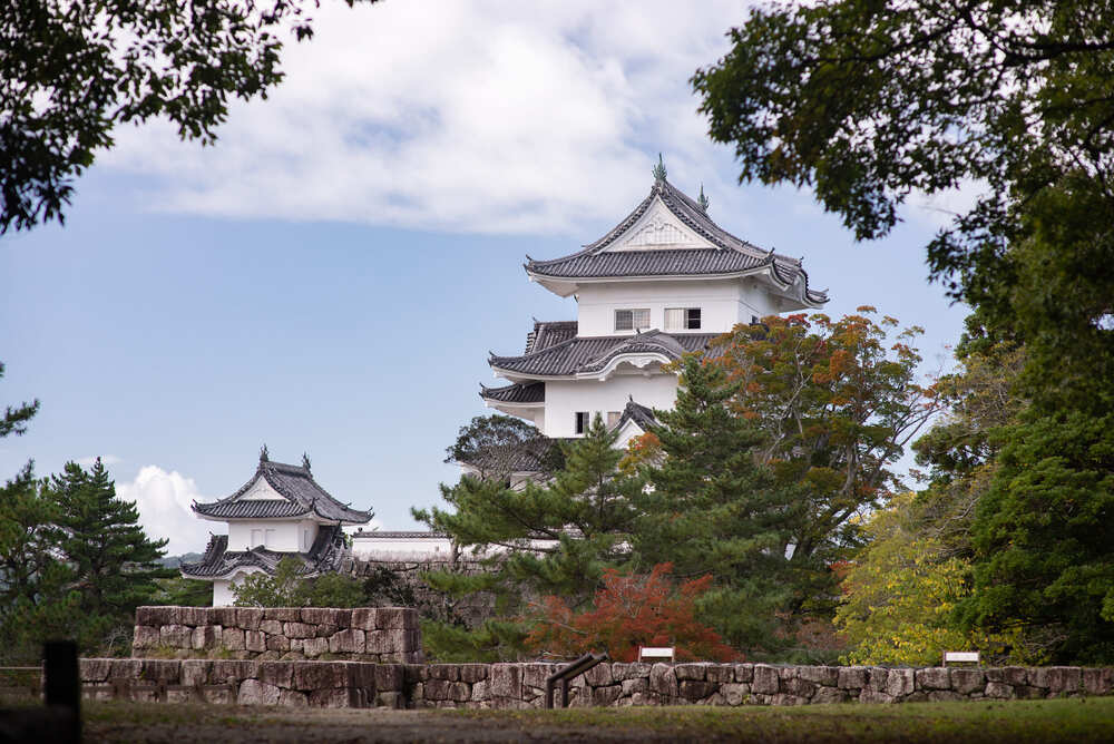 Iga Ueno Castle